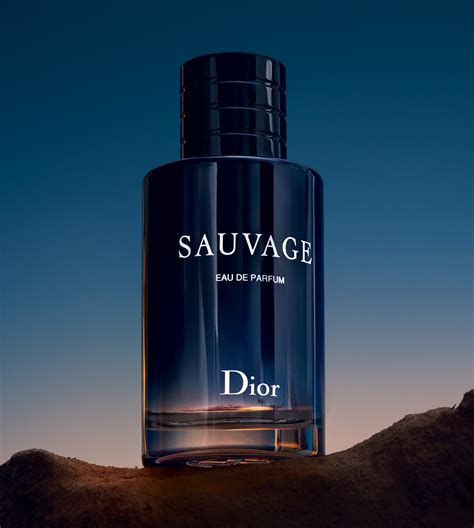 dior savant